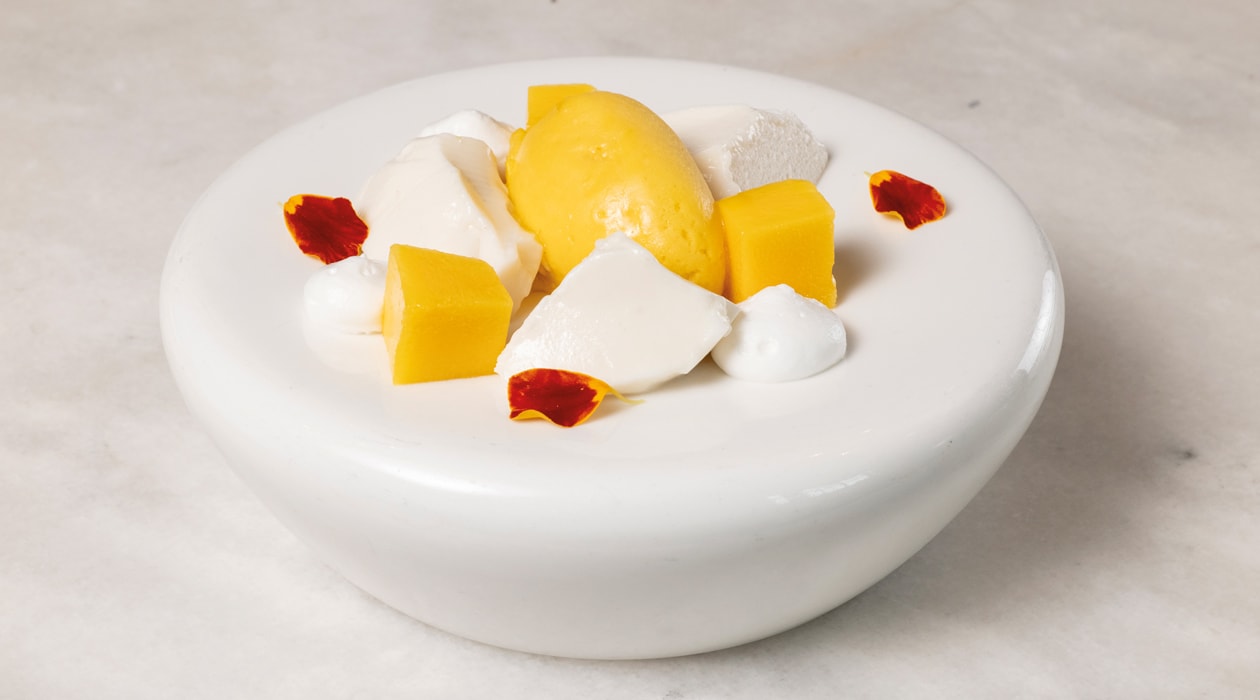 Panacota, arroz con leche y mango – - Receta - UFS